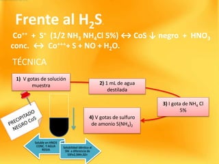Frente al H2S.
1) V gotas de solución
muestra 2) 1 mL de agua
destilada
3) I gota de NH4 Cl
5%
4) V gotas de sulfuro
de amonio S(NH4)2
TÉCNICA
Soluble en HNO3
CONC. Y AGUA
REGIA
Solubilidad idéntica al
SNi a diferencia de
S3Fe2,SMn,SZn
Co++ + S= (1/2 NH3 NH4Cl 5%) ↔ CoS ↓ negro + HNO3
conc. ↔ Co++++ S + NO + H2O.
 