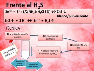 Frente al H2S.
1) V gotas de solución
muestra 2) 1 mL de agua
destilada
3) I gota de NH4 Cl
5%
4) X gotas de sulfuro
de amonio S(NH4)2
TÉCNICA
Soluble en
ácidos
minerales Insoluble en
ácido acético
Zn+2 + S= (1/2 NH3 NH4Cl 5%) ↔ ZnS ↓
blanco/pulverulento
ZnS ↓ + 2 H+ ↔ Zn++ + H2S ↑
 