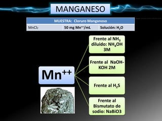 MANGANESO
Mn++
Frente al NH3
diluido: NH4OH
3M
Frente al NaOH-
KOH 2M
Frente al H2S
Frente al
Bismutato de
sodio: NaBiO3
MUESTRA: Cloruro Manganoso
MnCl2 50 mg Mn++/mL Solución: H2O
 