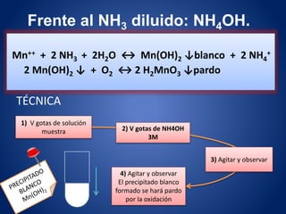 TÉCNICA
Frente al NH3 diluido: NH4OH.
Mn++ + 2 NH3 + 2H2O ↔ Mn(OH)2 ↓blanco + 2 NH4
+
2 Mn(OH)2 ↓ + O2 ↔ 2 H2MnO3 ↓pardo
1) V gotas de solución
muestra 2) V gotas de NH4OH
3M
3) Agitar y observar
4) Agitar y observar
El precipitado blanco
formado se hará pardo
por la oxidación
 