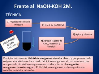 TÉCNICA
1) V gotas de solución
muestra 2) ½ mL de NaOH 2M
3) Agitar y observar
4) Agregar II gotas de
H2O2 , observar y
concluir
Frente al NaOH-KOH 2M.
Precipita inicialmente hidróxido manganoso de color blanco y por presencia de
oxigeno atmosférico se hace pardo del ácido manganoso, el cual reacciona con
una parte de hidróxido manganoso son oxidar y forma el manganito
manganoso de color negro ↓, El hidróxido manganoso y el manganito son
solubles en ácidos minerales.
 