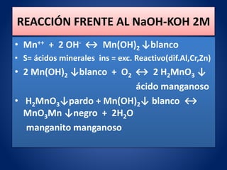 REACCIÓN FRENTE AL NaOH-KOH 2M
• Mn++ + 2 OH- ↔ Mn(OH)2 ↓blanco
• S= ácidos minerales ins = exc. Reactivo(dif.Al,Cr,Zn)
• 2 Mn(OH)2 ↓blanco + O2 ↔ 2 H2MnO3 ↓
ácido manganoso
• H2MnO3↓pardo + Mn(OH)2↓ blanco ↔
MnO3Mn ↓negro + 2H2O
manganito manganoso
 