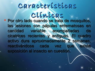 CCaarraacctteerrííssttiiccaass 
CCllíínniiccaass 
 PPoorr oottrroo llaaddoo ccuuaannddoo ssee ttrraattaa ddee mmoossqquuiittooss,, 
llaass lleessiioonneess ssoonn ppááppuullaass eerriitteemmaattoossaass eenn 
ccaannttiiddaadd vvaarriiaabbllee aaccoommppaaññaaddaass ddee 
cciiccaattrriicceess rreecciieenntteess yy aannttiigguuaass.. EEll ccuuaaddrroo 
aaccttiivvoo dduurraa aapprrooxxiimmaaddaammeennttee 22 sseemmaannaass,, 
rreeaaccttiivváánnddoossee ccaaddaa vveezz qquuee eexxiissttee 
eexxppoossiicciióónn aall iinnsseeccttoo eenn ccuueessttiióónn.. 
 