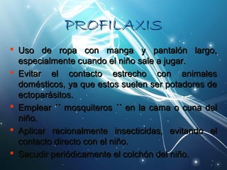 PPRROOFFIILLAAXXIISS 
 UUssoo ddee rrooppaa ccoonn mmaannggaa yy ppaannttaallóónn llaarrggoo,, 
eessppeecciiaallmmeennttee ccuuaannddoo eell nniiññoo ssaallee aa jjuuggaarr.. 
 EEvviittaarr eell ccoonnttaaccttoo eessttrreecchhoo ccoonn aanniimmaalleess 
ddoommééssttiiccooss,, yyaa qquuee eessttooss ssuueelleenn sseerr ppoottaaddoorreess ddee 
eeccttooppaarráássiittooss.. 
 EEmmpplleeaarr ´´ mmoossqquuiitteerrooss ´´ eenn llaa ccaammaa oo ccuunnaa ddeell 
nniiññoo.. 
 AApplliiccaarr rraacciioonnaallmmeennttee iinnsseeccttiicciiddaass,, eevviittaannddoo eell 
ccoonnttaaccttoo ddiirreeccttoo ccoonn eell nniiññoo.. 
 SSaaccuuddiirr ppeerriióóddiiccaammeennttee eell ccoollcchhóónn ddeell nniiññoo.. 
 