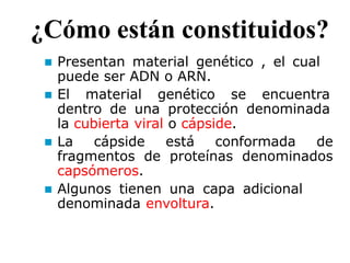 ¿Cómo están constituidos?
 Presentan material genético , el cual
puede ser ADN o ARN.
 El material genético se encuentra
dentro de una protección denominada
la cubierta viral o cápside.
 La cápside está conformada de
fragmentos de proteínas denominados
capsómeros.
 Algunos tienen una capa adicional
denominada envoltura.
 