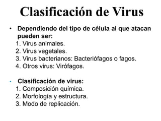Clasificación de Virus
• Dependiendo del tipo de célula al que atacan
pueden ser:
1. Virus animales.
2. Virus vegetales.
3. Virus bacterianos: Bacteriófagos o fagos.
4. Otros virus: Virófagos.
• Clasificación de virus:
1. Composición química.
2. Morfología y estructura.
3. Modo de replicación.
 