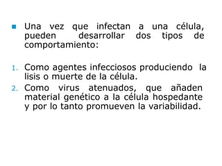  Una vez que infectan a una célula,
pueden desarrollar dos tipos de
comportamiento:
1. Como agentes infecciosos produciendo la
lisis o muerte de la célula.
2. Como virus atenuados, que añaden
material genético a la célula hospedante
y por lo tanto promueven la variabilidad.
 