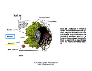 Dr. Carlos Augusto Azañero Inope
      www.carlosvirtual.com
 