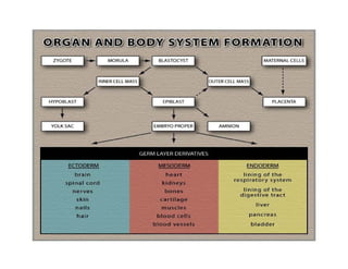 Dr. Carlos Augusto Azañero Inope
      www.carlosvirtual.com
 