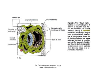 Dr. Carlos Augusto Azañero Inope
      www.carlosvirtual.com
 
