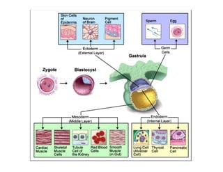 Dr. Carlos Augusto Azañero Inope
      www.carlosvirtual.com
 