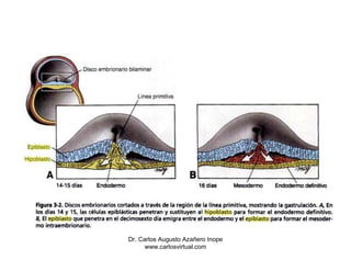 Dr. Carlos Augusto Azañero Inope
      www.carlosvirtual.com
 