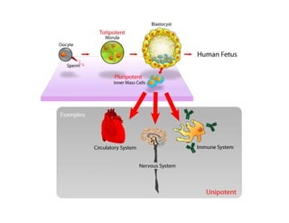Dr. Carlos Augusto Azañero Inope
      www.carlosvirtual.com
 