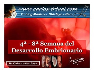4ª - 8ª Semana del
  Desarrollo Embrionario

Dr. Carlos Azañero InopeCarlos Augusto Azañero Inope
                      Dr.
                              www.carlosvirtual.com
 