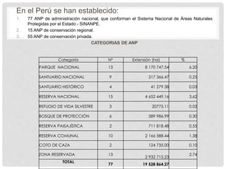 En el Perú se han establecido:
1. 77 ANP de administración nacional, que conforman el Sistema Nacional de Áreas Naturales
Protegidas por el Estado - SINANPE.
2. 15 ANP de conservación regional.
3. 55 ANP de conservación privada.
CATEGORIAS DE ANP
Categoría Nº Extensión (ha) %
PARQUE NACIONAL 13 8 170 747.54 6.20
SANTUARIO NACIONAL 9 317 366.47 0.25
SANTUARIO HISTÓRICO 4 41 279.38 0.03
RESERVA NACIONAL 15 4 652 449.16 3.62
REFUGIO DE VIDA SILVESTRE 3 20775.11 0.02
BOSQUE DE PROTECCIÓN 6 389 986.99 0.30
RESERVA PAISAJÍSTICA 2 711 818.48 0.55
RESERVA COMUNAL 10 2 166 588.44 1.38
COTO DE CAZA 2 124 735.00 0.10
ZONA RESERVADA 13
2 932 715.23
2.74
TOTAL
77 19 528 864.27
 