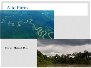 Ucayali - Madre de Dios
Alto Purús
 