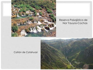 • Reserva Paisajística de
Nor Yauyos-Cochas
Cañón de Cotahuasi
 