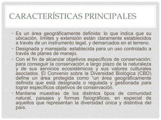CARACTERÍSTICAS PRINCIPALES
• Es un área geográficamente definida: lo que indica que su
ubicación, límites y extensión están claramente establecidos
a través de un instrumento legal, y demarcados en el terreno.
• Designada y manejada: establecida para un uso controlado a
través de planes de manejo.
• Con el fin de alcanzar objetivos específicos de conservación:
para conseguir la conservación a largo plazo de la naturaleza
y de sus servicios ecosistémicos y sus valores culturales
asociados. El Convenio sobre la Diversidad Biológica (CBD)
define un área protegida como “un área geográficamente
definida que está designada o regulada y gestionada para
lograr específicos objetivos de conservación.
• Mantiene muestras de los distintos tipos de comunidad
natural, paisajes y formas fisiográficas, en especial de
aquellos que representan la diversidad única y distintiva del
país.
 