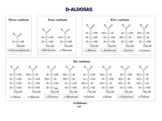 D-ALDOSAS 