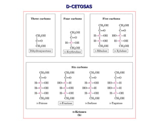 D-CETOSAS 