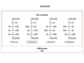 HEXOSAS 