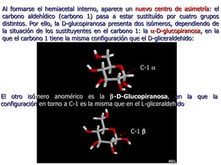 Al formarse el hemiacetal interno, aparece un  nuevo centro de asimetría : el carbono aldehídico (carbono 1) pasa a estar sustituído por cuatro grupos distintos. Por ello, la D-glucopiranosa presenta dos isómeros, dependiendo de la situación de los sustituyentes en el carbono 1: la   -D-glucopiranosa , en la que el carbono 1 tiene la misma configuración que el D-gliceraldehido: El otro   isó mero   anomérico es la   -D-Glucopiranosa ,   en la que la   configuración   en torno a C-1 es la misma que en el L-gliceraldeh ido C-1   C-1   