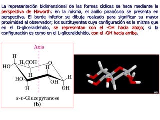 La representación bidimensional de las formas cíclicas se hace mediante la  perspectiva de Haworth :  en la misma, el anillo piranósico se presenta en perspectiva. El borde inferior se dibuja realzado para significar su mayor proximidad al observador; los sustituyentes cuya configuración es la misma que en el D-gliceraldehido,  se representan con el -OH hacia abajo ; si la configuración es como en el L-gliceraldehido,  con el -OH hacia arriba . 