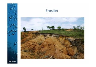 Control de la erosión hídrica
• Estas obras se basan en la disminución de la
energía del agua y los sedimentos
transportados por ella (suelo y roca
generalmente) mediante el uso de estructuras
de disipación o disipadores de energía
• Se ubican en forma normal a la dirección del
flujo y se complementan con estructuras de
captación, vegetación y manejo de aguas de
escorrentía sobre las laderas.
• Estas estructuras colectan y entregan el agua a
los cauces de manera disipada.
 