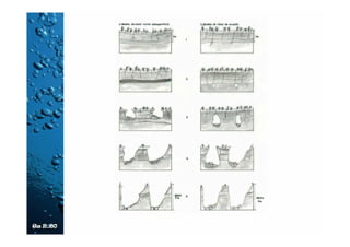 Rápidas lisas
• Son canales de fondo liso con pendientes
adecuadas a las condiciones topográficas del
terreno y al caudal que se desea evacuar.
• El agua escurre a velocidad apreciable, llegando al
pie de la ladera o talud con gran cantidad de
energía cinética
• El diseño está en función del caudal de diseño por
evacuar, de la geometría del canal, de la pendiente
del terreno y del material a utilizar.
• El canal diseñado debe ser capaz de resistir las
velocidades que se desarrollen en él y de conducir
el agua sin rebosarse para el periodo de retorno
seleccionado.
 
