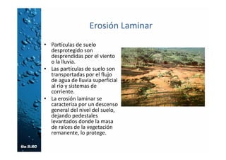 Rápidas escalonadas
• Son canales con gradas o escalones donde, a la
vez que se conduce el agua, se va disipando la
energía cinética del flujo por impacto con los
escalones
• No se hace necesaria alguna estructura
adicional, o, dado el caso, una estructura
pequeña.
 