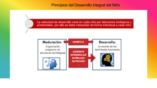 Principios del Desarrollo Integral del Niño
La velocidad de desarrollo varía en cada niño por elementos biológicos y
ambientales, por ello se debe interpretar de forma individual a cada niño.
 
