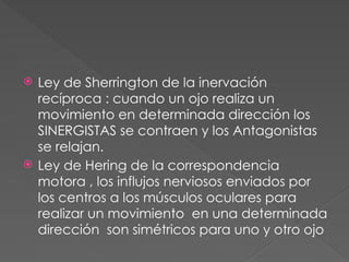  Ley de Sherrington de la inervación
recíproca : cuando un ojo realiza un
movimiento en determinada dirección los
SINERGISTAS se contraen y los Antagonistas
se relajan.
 Ley de Hering de la correspondencia
motora , los influjos nerviosos enviados por
los centros a los músculos oculares para
realizar un movimiento en una determinada
dirección son simétricos para uno y otro ojo
 