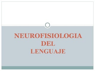 NEUROFISIOLOGIA
DEL
LENGUAJE
 