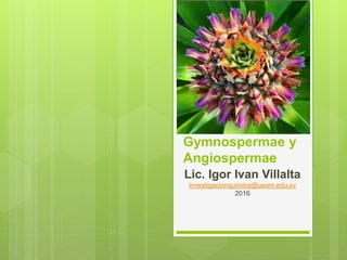 Gymnospermae y
Angiospermae
Lic. Igor Ivan Villalta
investigacionquimica@usam.edu.sv
2016
 