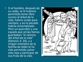 Si al hombre, después de su caída, se le hubiese permitido tener libre acceso al árbol de la vida, habría vivido para siempre, y así el pecado habría inmortalizado. Pero un querubín y una espada que arroja llamas guardaban "el camino del árbol de la vida" (Génesis 3: 24), y a ningún miembro de la familia de Adán le ha sido permitido salvar esta raya y participar de esa fruta de la vida.