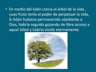 En medio del Edén crecía el árbol de la vida, cuyo fruto tenla el poder de perpetuar la vida, Si Adán hubiese permanecido obediente a Dios, habría seguido gozando de libre acceso a aquel árbol y habría vivido eternamente.