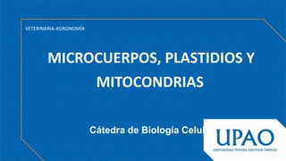 MICROCUERPOS, PLASTIDIOS Y
MITOCONDRIAS
VETERINARIA-AGRONOMÍA
Cátedra de Biología Celular
 