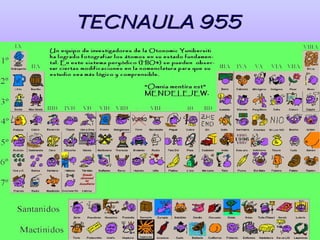 TECNAULA 955
 