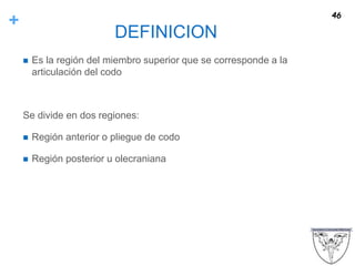 +
DEFINICION
 Es la región del miembro superior que se corresponde a la
articulación del codo
Se divide en dos regiones:
 Región anterior o pliegue de codo
 Región posterior u olecraniana
46
 