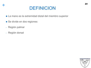 +
DEFINICION
 La mano es la extremidad distal del miembro superior
 Se divide en dos regiones:
- Región palmar
- Región dorsal
84
 