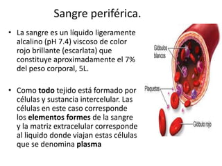 Sangre periférica.
• La sangre es un líquido ligeramente
alcalino (pH 7.4) viscoso de color
rojo brillante (escarlata) que
constituye aproximadamente el 7%
del peso corporal, 5L.

• Como todo tejido está formado por
células y sustancia intercelular. Las
células en este caso corresponde
los elementos formes de la sangre
y la matriz extracelular corresponde
al liquido donde viajan estas células
que se denomina plasma

 