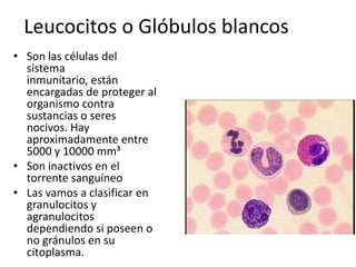 Leucocitos o Glóbulos blancos
• Son las células del
sistema
inmunitario, están
encargadas de proteger al
organismo contra
sustancias o seres
nocivos. Hay
aproximadamente entre
5000 y 10000 mm³
• Son inactivos en el
torrente sanguíneo
• Las vamos a clasificar en
granulocitos y
agranulocitos
dependiendo si poseen o
no gránulos en su
citoplasma.

 