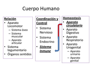 Cuerpo Humano
Relación
• Aparato
Locomotor
– Sistema óseo
– Sistema
muscular
– Aparato
articular

• Sistema
tegumentario
• Órganos sentidos

Coordinación y
Control
• Sistema
Nervioso
• Sistema
Endocrino
• Sistema
Inmune

Homeostasis
• Aparato
circulatorio
• Aparato
Digestivo
• Aparato
Respiratorio
• Aparato
Urogenital
– Aparato
urinario
– Aparato
genital

 