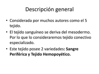 Descripción general
• Considerada por muchos autores como el 5
tejido.
• El tejido sanguíneo se deriva del mesodermo.
Por lo que lo consideraremos tejido conectivo
especializado.
• Este tejido posee 2 variedades: Sangre
Periférica y Tejido Hemopoyético.

 