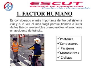 1. FACTOR HUMANO
Es considerado el más importante dentro del sistema
vial y a la vez el más frágil porque tienden a sufrir
daños físicos irreversibles o irreparables al suscitarse
un accidente de tránsito.
Peatones
Conductores
 Pasajeros
Motociclistas
 Ciclistas
 