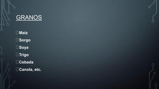 GRANOS
Maíz
Sorgo
Soya
Trigo
Cebada
Canola, etc.
 