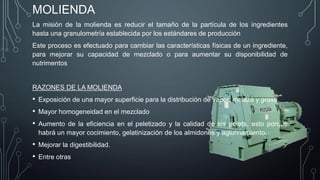 MOLIENDA
La misión de la molienda es reducir el tamaño de la partícula de los ingredientes
hasta una granulometría establecida por los estándares de producción
Este proceso es efectuado para cambiar las características físicas de un ingrediente,
para mejorar su capacidad de mezclado o para aumentar su disponibilidad de
nutrimentos
RAZONES DE LA MOLIENDA
• Exposición de una mayor superficie para la distribución de vapor, melaza y grasa.
• Mayor homogeneidad en el mezclado
• Aumento de la eficiencia en el peletizado y la calidad de los pelets, esto porque
habrá un mayor cocimiento, gelatinización de los almidones y aglutinamiento.
• Mejorar la digestibilidad.
• Entre otras
 