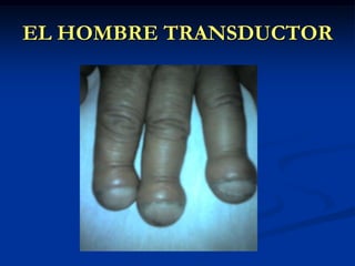 EL HOMBRE TRANSDUCTOR