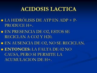ACIDOSIS LACTICA<br />LA HIDRÓLISIS DE ATP EN ADP + P- PRODUCE H+.<br />EN PRESENCIA DE O2, ESTOS SE RECICLAN A CO2 Y H20....