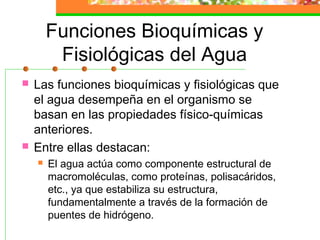 Funciones Bioquímicas y
         Fisiológicas del Agua
   Las funciones bioquímicas y fisiológicas que
    el agua desempeña en el organismo se
    basan en las propiedades físico-químicas
    anteriores.
   Entre ellas destacan:
       El agua actúa como componente estructural de
        macromoléculas, como proteínas, polisacáridos,
        etc., ya que estabiliza su estructura,
        fundamentalmente a través de la formación de
        puentes de hidrógeno.
 